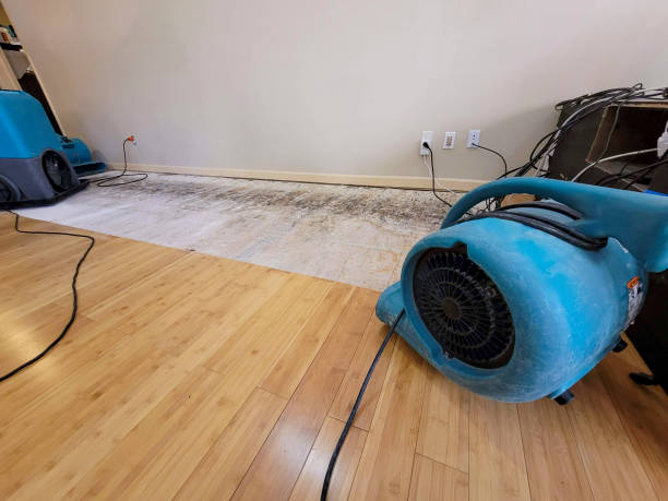 Professional Basement Flood Cleanup technician working in Summerfield, IL